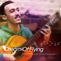 Dream Of Flying Mahmood Shahsavari